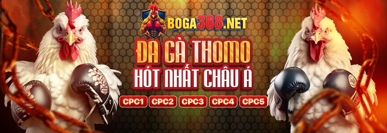 Chào mừng đến với bet888 casino, hướng dẫn cho người mới