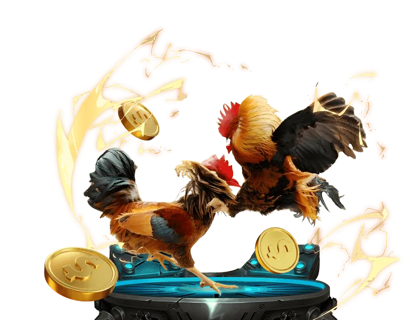 Cá cược có trách nhiệm bet888